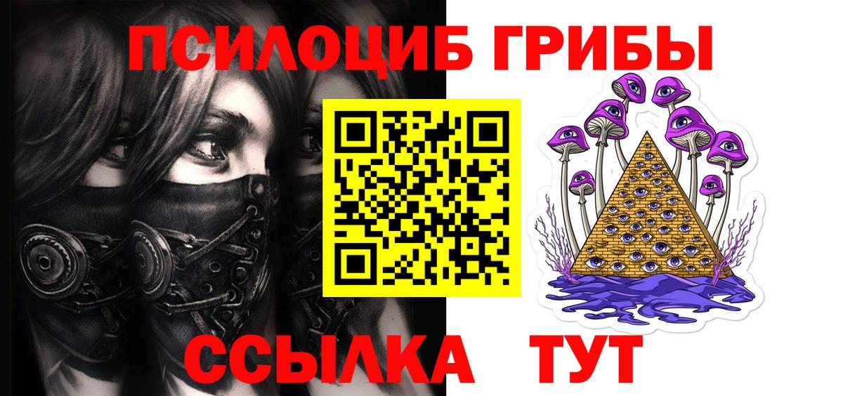 Камень-на-Оби  Псилоцибиновые грибы ЛСД  Вход с VPN 